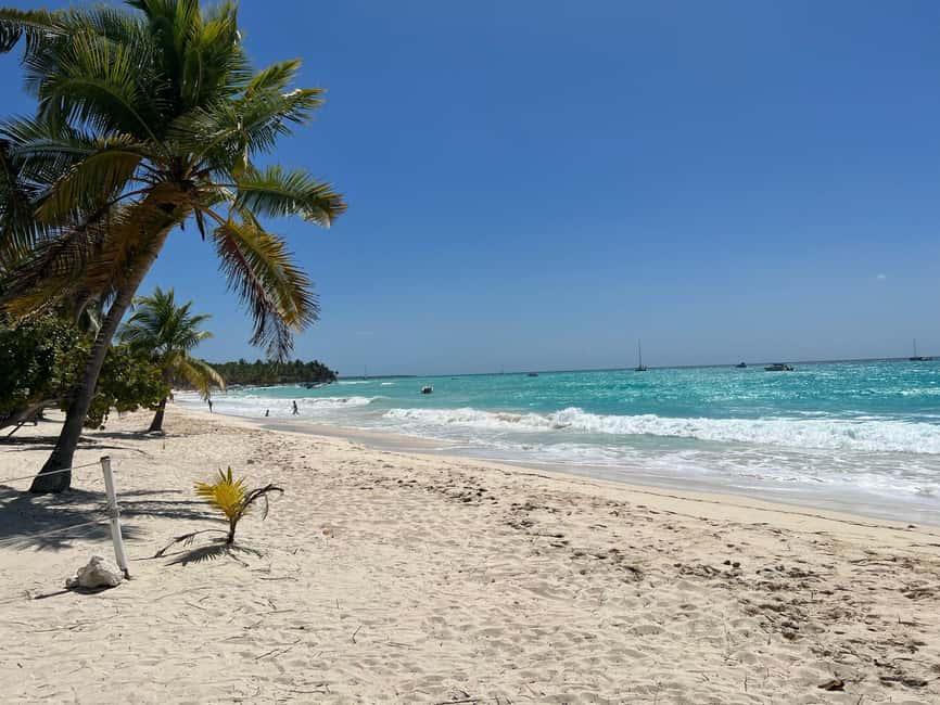 Saona Island & Chavon River Tour with Lunch & Drinks - Good To Know