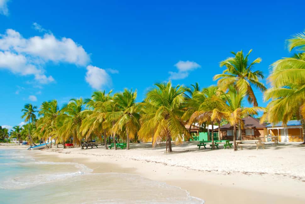 Saona Island & Chavon River Tour with Lunch & Drinks - Transportation & Group Dynamics