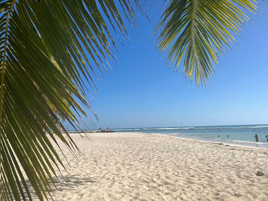 Saona Island & Chavon River Tour with Lunch & Drinks - Who Would Love This Tour?