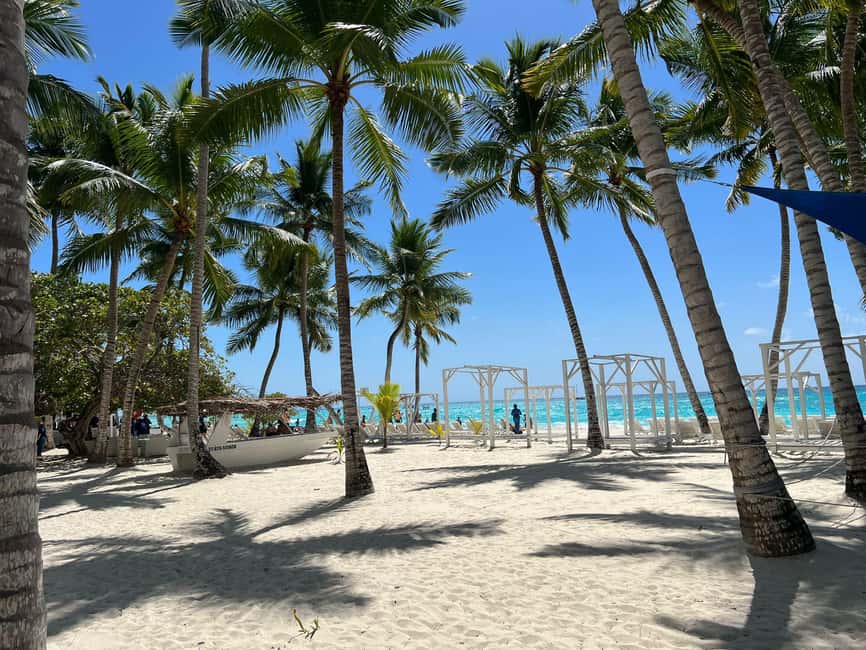 Saona Island & Chavon River Tour with Lunch & Drinks - The Journey in Detail