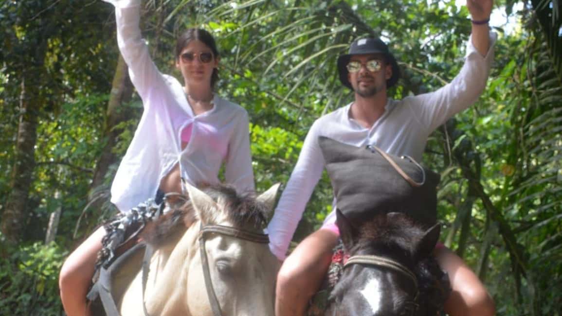 Punta Cana: Bacardi Island & Limon Waterfall Full-Day Tour - An In-Depth Look at the Punta Cana Bacardi Island & Limon Waterfall Tour