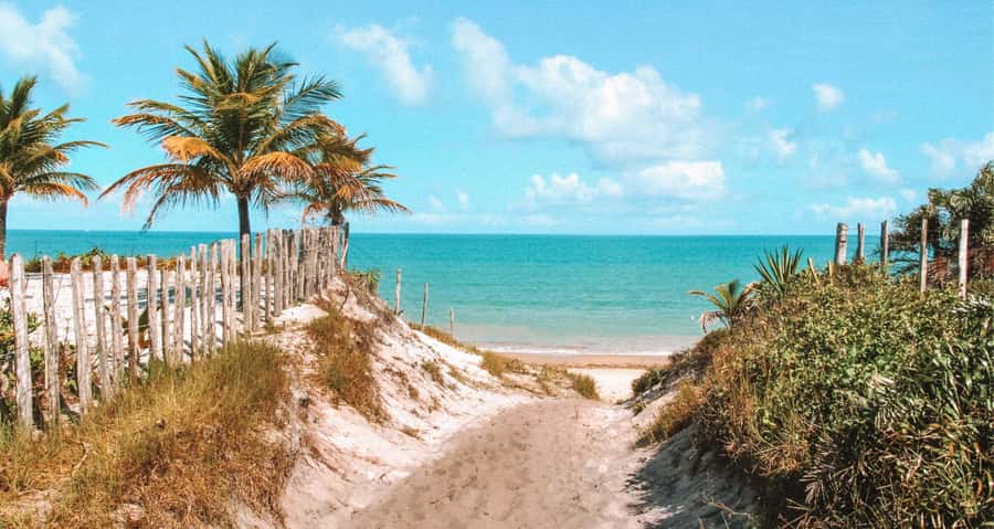 Guided Tour of the Beaches in Caraíva - Porto Seguro - Final Thoughts