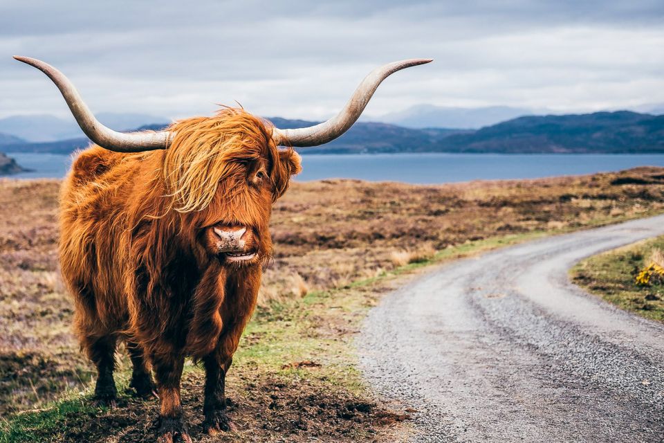Edinburgh: 3-Day Isle of Skye, Highlands, and Loch Ness Tour - Key Points