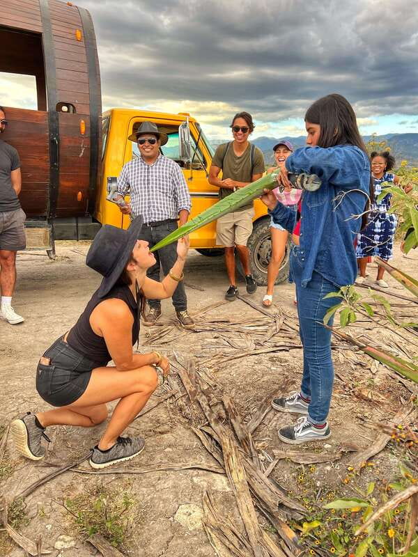 Oaxaca: Monte Albán, Hierve el agua, Mezcal and Teotitlán - Introduction