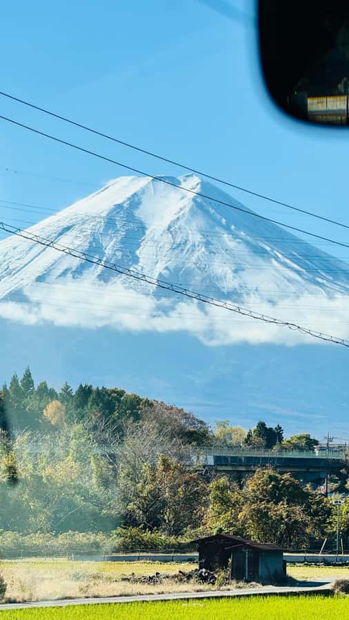 Tokyo/Yokohama: Mt. Fuji and Hakone Private Day Trip - What You Can Expect from This Tour