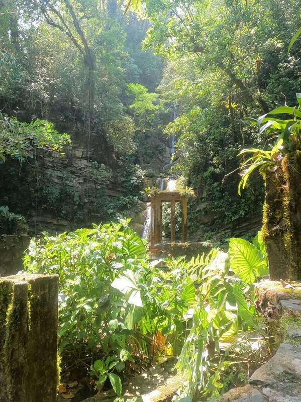 2 day tour Puente de Dios and Xilitla from San Luis Potosí - A Deep Dive Into the 2-Day Tour: What to Expect