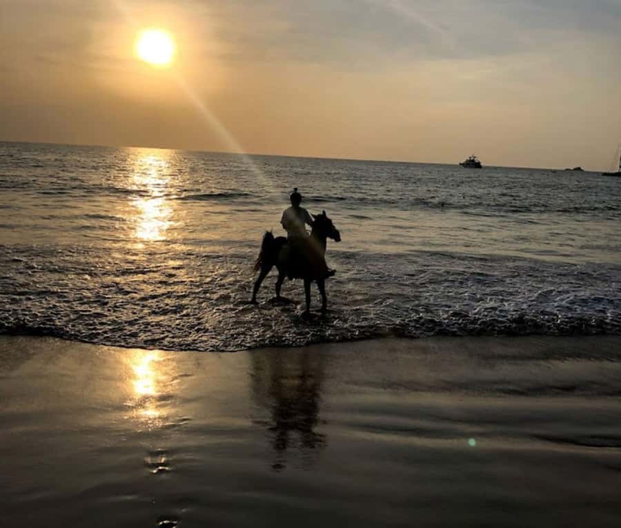Phuket: Sunset Beach Horseback Journey - Who Will Love This Experience?