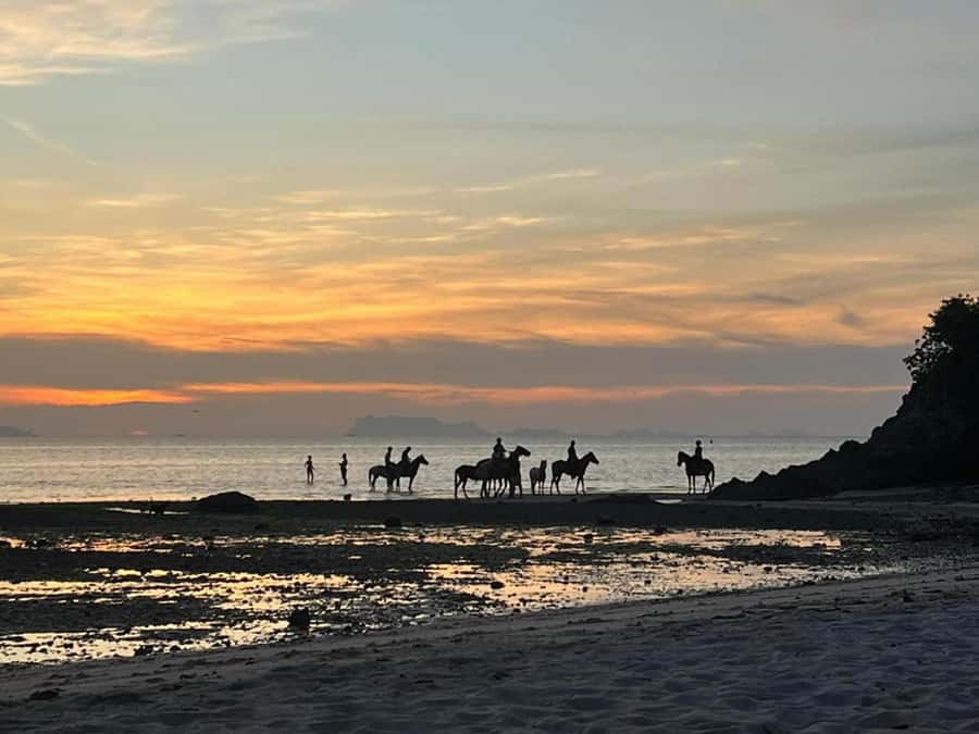 Phuket: Sunset Beach Horseback Journey - Exploring the Tour Itself