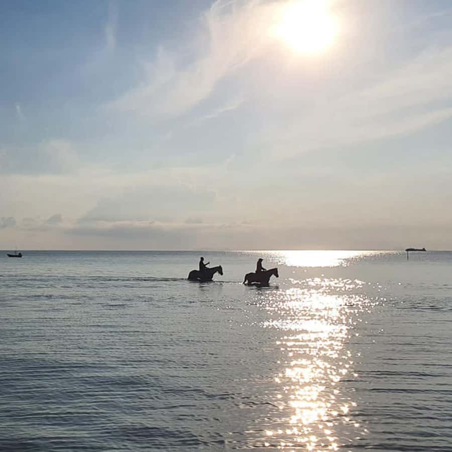 Phuket: Sunset Beach Horseback Journey - Practical Tips for a Smooth Ride