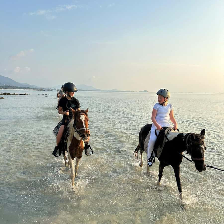 Phuket: Sunset Beach Horseback Journey - Final Thoughts: Is It Worth It?