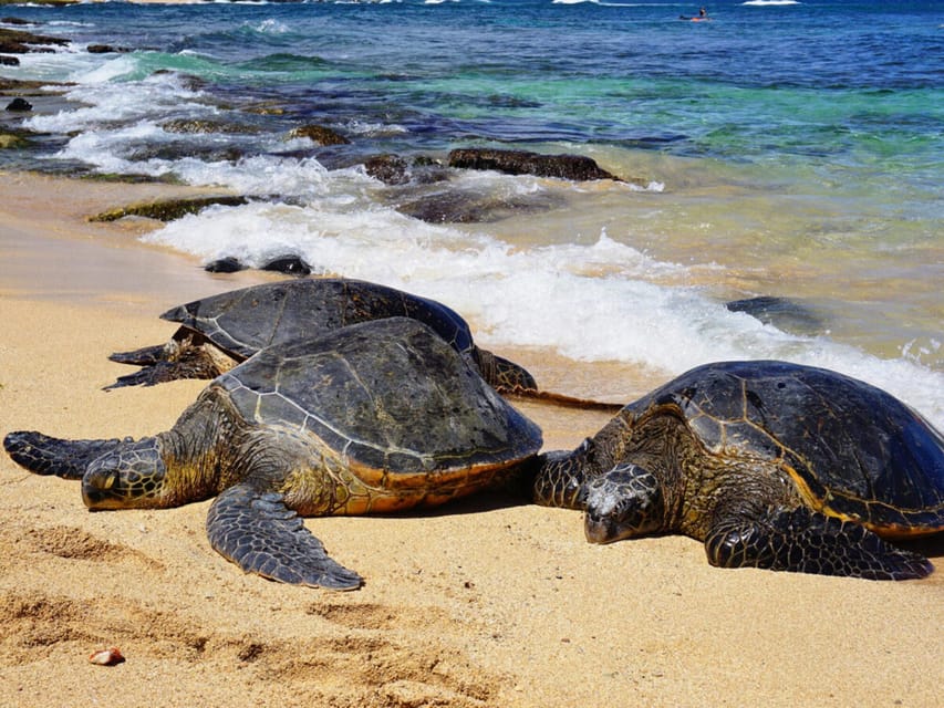 Maui: Private Island Tour with Meals & Snorkeling - Final Thoughts