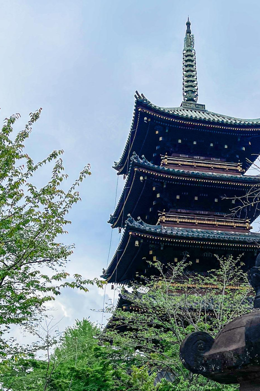 Tokio A: Tour de la ciudad en Español - Spanish - The Sum Up: Is It Worth It?