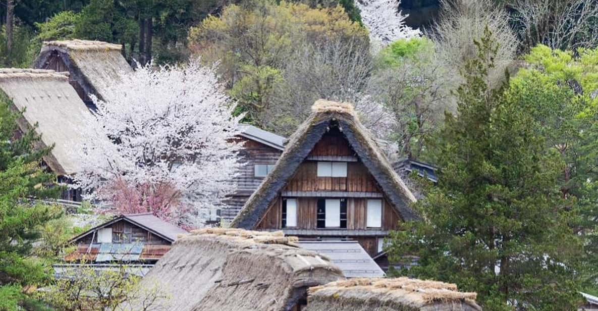 From Kanazawa/Toyama: Shirakawago and Takayama Day Tour - The Experience: Real Insights from Guests