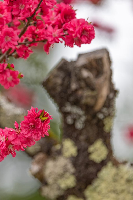 From Kanazawa/Toyama: Shirakawago and Takayama Day Tour - The Sum Up: Is It Worth It?