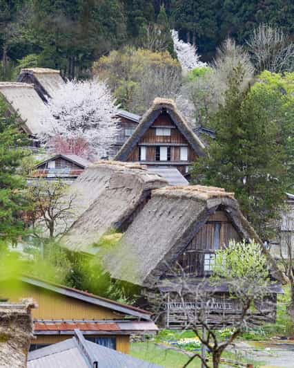 From Kanazawa/Toyama: Shirakawago and Takayama Day Tour - Why Choose a Private, Custom Tour?