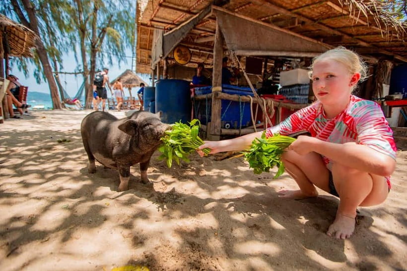 Koh Samui: Pig Island Day Tour by Speedboat - What the Reviews Reveal