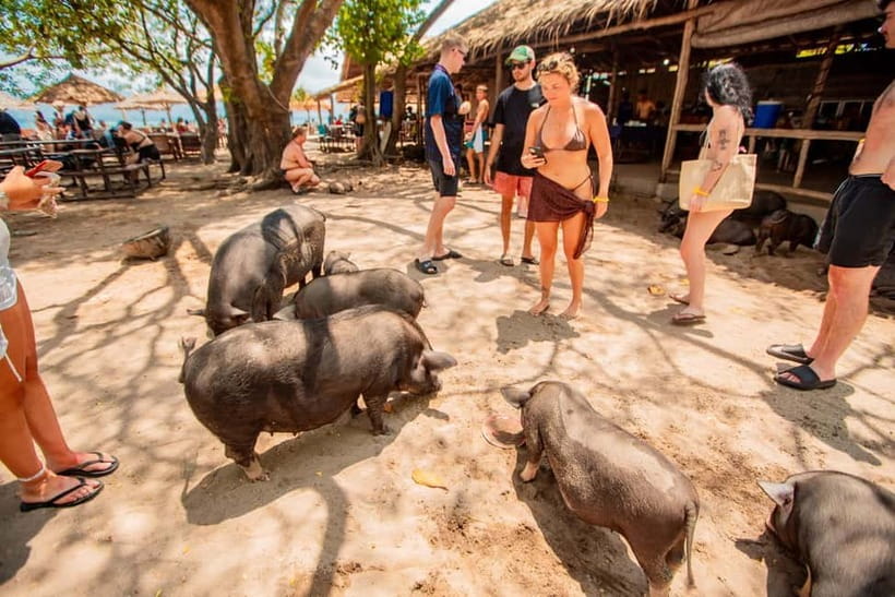 Koh Samui: Pig Island Day Tour by Speedboat - Itinerary Breakdown: From Koh Samui to Pig Island and Beyond
