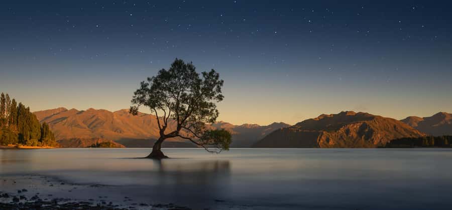 Queenstown to Franz Josef Tour via Wnaka (One-Way) - The Sum Up