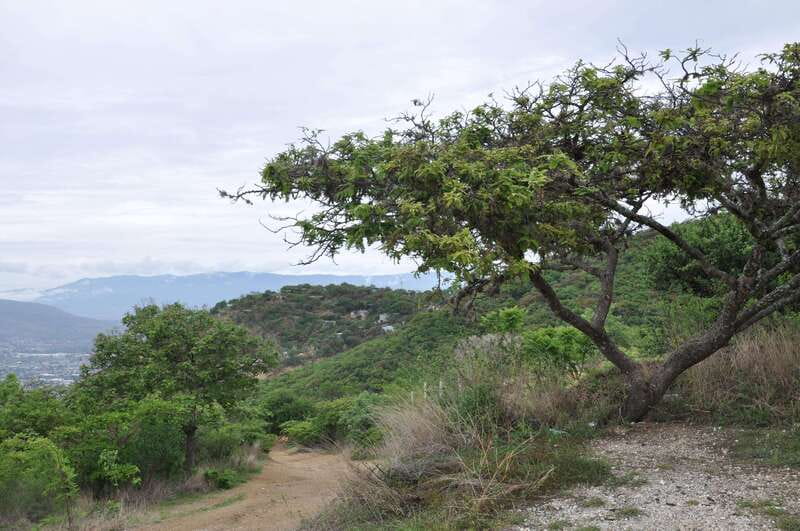 Electric Mountain bike in Oaxaca - Whats Included and How It Adds Value