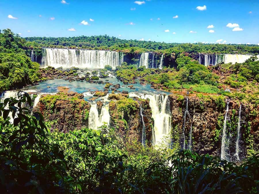 Guided Tour of the Brazilian Falls and Bird Park - Who Will Love This Tour?