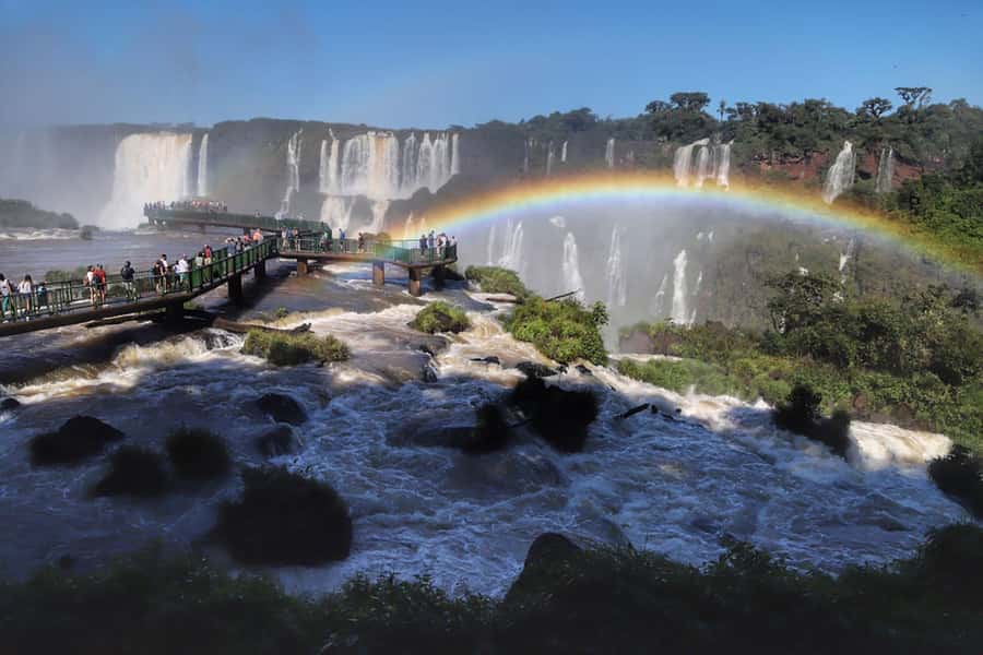 Guided Tour of the Brazilian Falls and Bird Park - The Sum Up