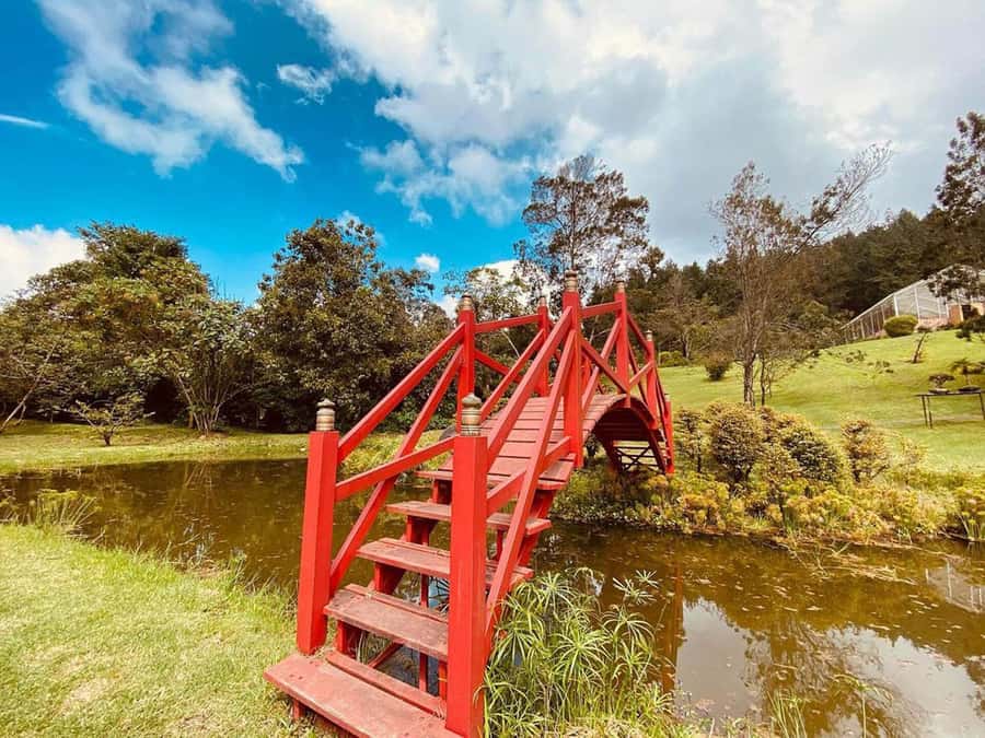 Eco-Park Recinto del Pensamiento Tour - Contemplative Activities and Sensory Engagement