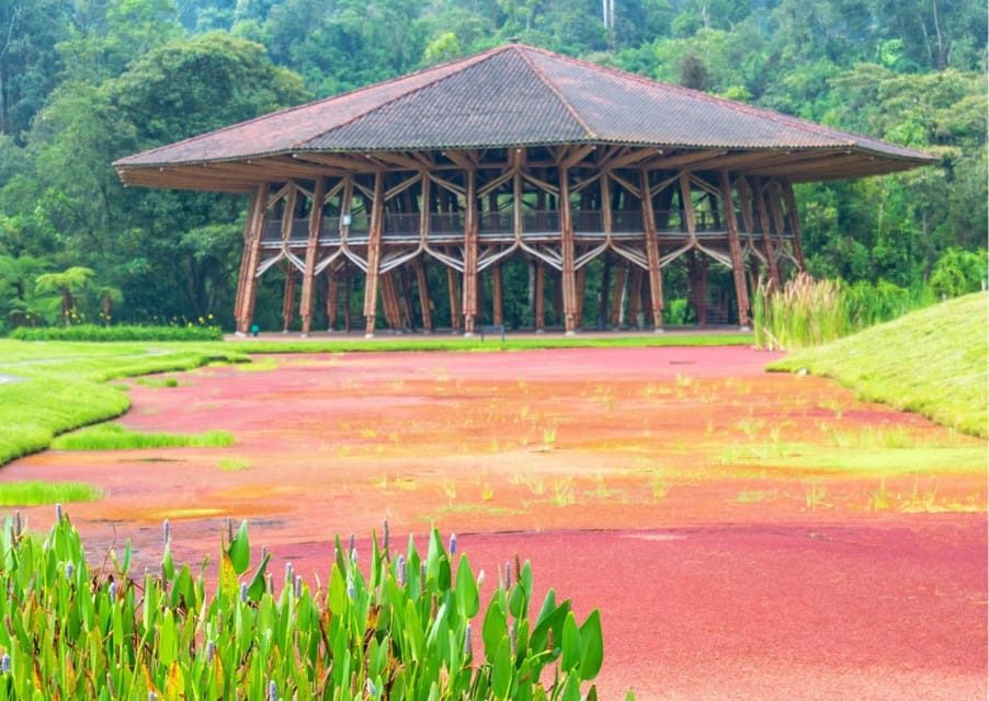 Eco-Park Recinto del Pensamiento Tour - Additional Activities and Facilities