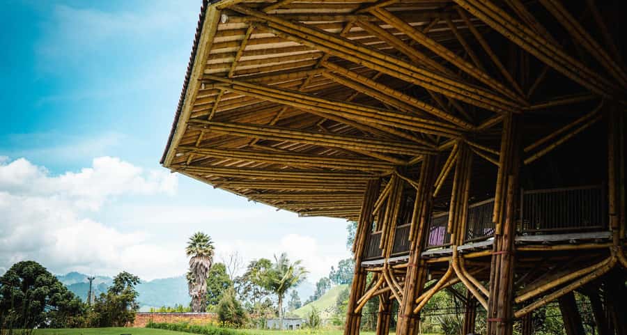 Eco-Park Recinto del Pensamiento Tour - Starting Out: Private Pickup and Introduction to the Park