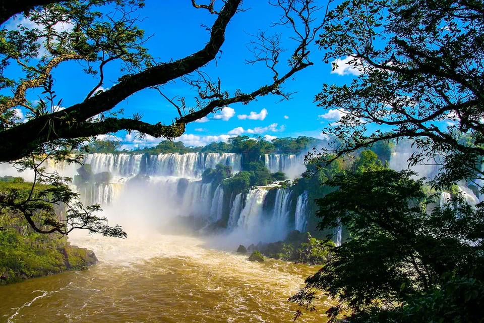 Guided Tour - Explore the Waterfalls Brazil and Bird Park - Final Thoughts: Who Should Consider This Tour?