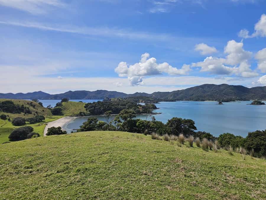 Auckland: 2-Day Bay of Islands Small Group Tour with Cruise - What Sets This Tour Apart?