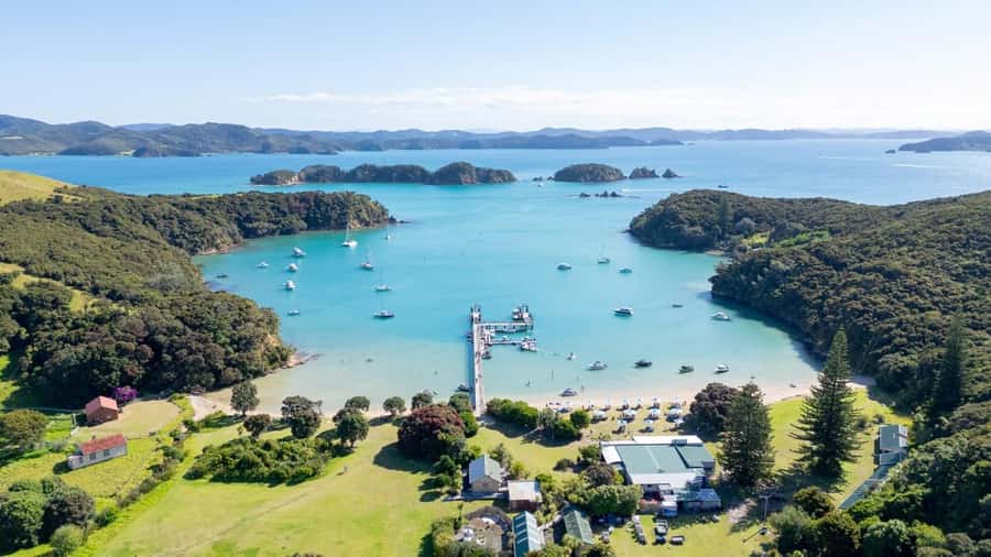 Auckland: 2-Day Bay of Islands Small Group Tour with Cruise - Day 2: The Cruise and Island Adventures