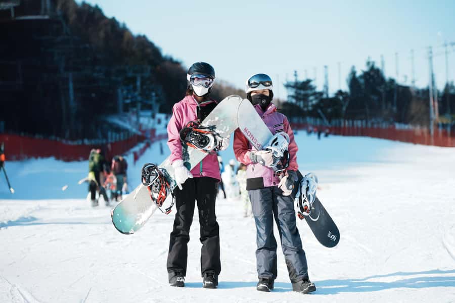 From Seoul: Elysian Ski Resort with Rental & Basic Lesson - An In-Depth Look at the Elysian Ski Resort Tour