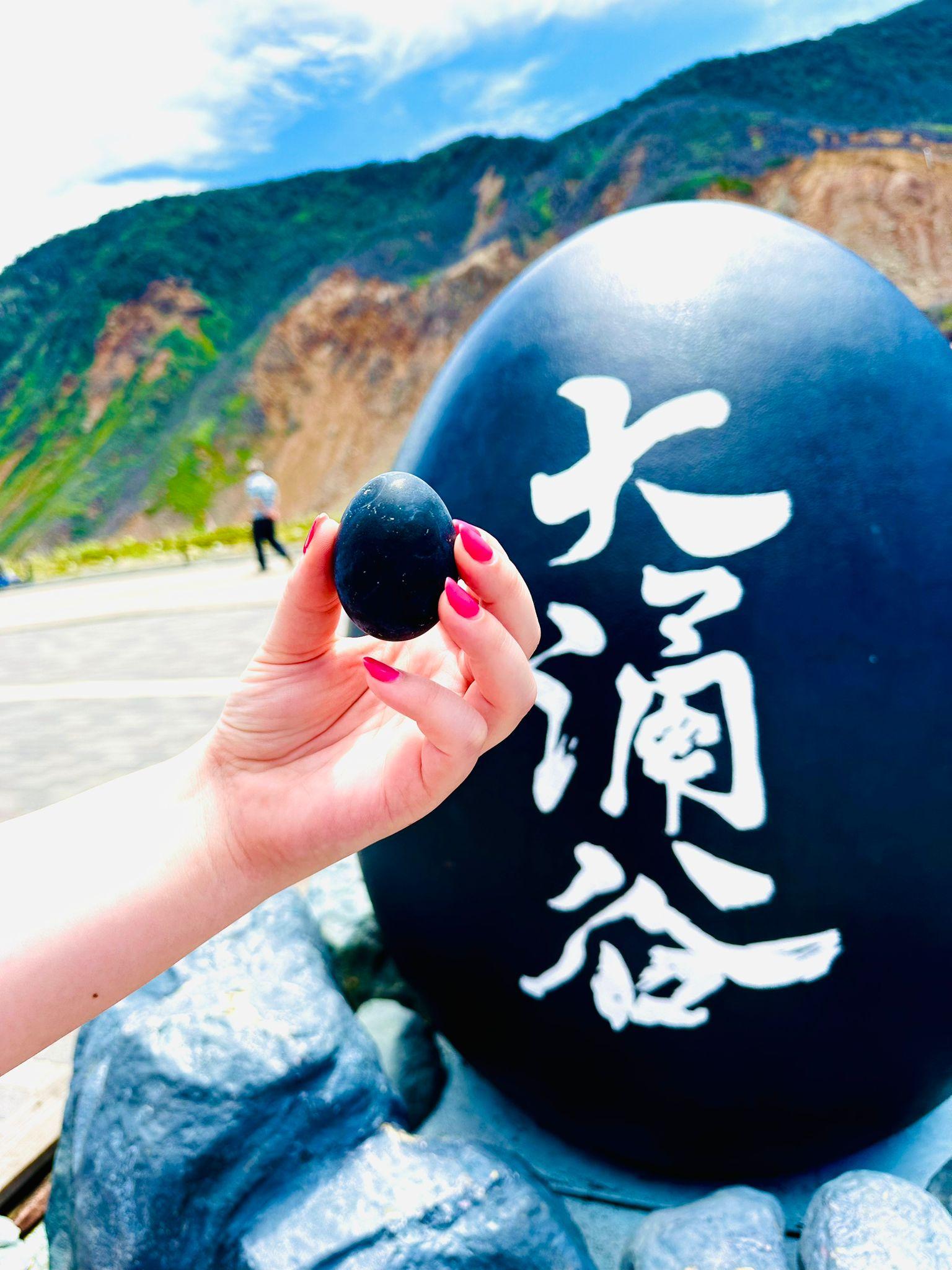 Mt. Fuji & Hakone VIP One Day Tour with pickup and drop off - Who Would Love This Tour?