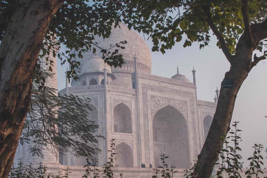 From Delhi: Taj Mahal & Agra Private/Group Day Trip - Final Thoughts