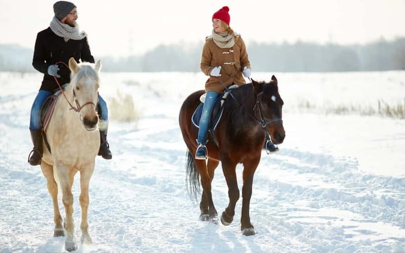 Full-Day Tour from Tashkent: Amirsoy, Chimgan & Charvak - Good To Know