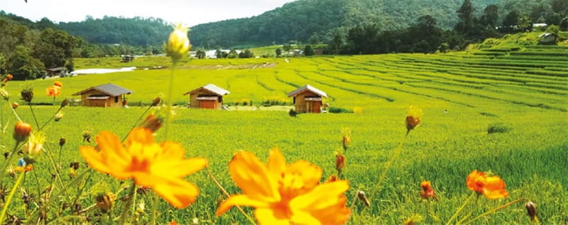 Chiang Mai: Doi Inthanon Trip with Pha Dok Siew Guided Trek - Transportation and Duration  