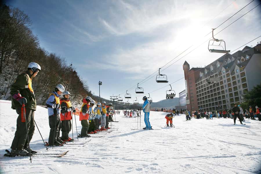Korea Ski Tour from Seoul - Jisan Resort with Isaac Toast - Key Points