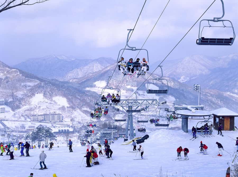 Korea Ski Tour from Seoul - Jisan Resort with Isaac Toast - An Authentic Look at the Jisan Resort Ski Experience