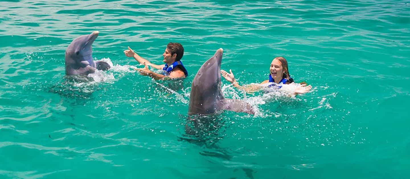 Punta Cana Dolphin Experience: 50 Minutes of Water Fun - Why Choose This Dolphin Tour?