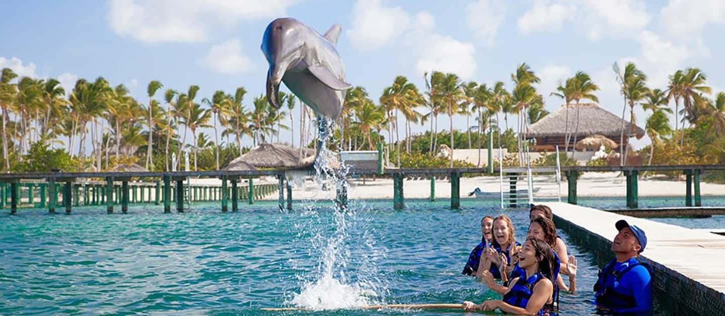 Punta Cana Dolphin Experience: 50 Minutes of Water Fun - Final Thoughts: Is It Worth It?