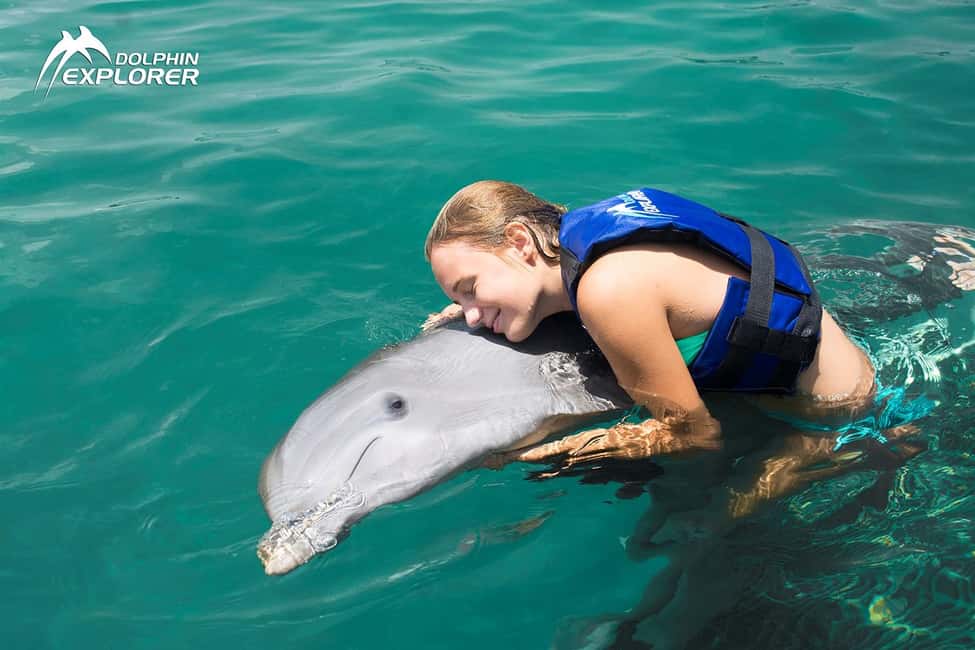 Punta Cana Dolphin Experience: 50 Minutes of Water Fun - An In-Depth Look at the Punta Cana Dolphin Experience