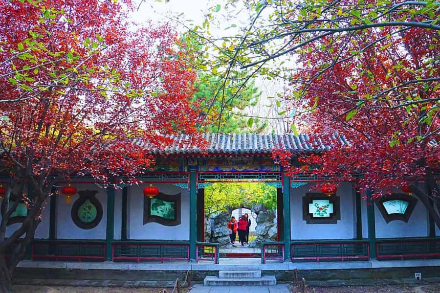 Shanghai: Old Town Half-Day Vintage Bike Tour (Night Option) - Key Points