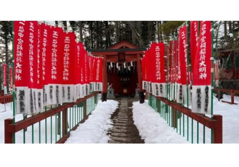 Tokyo: Private Nikko Sightseeing Tour In Luxury Land Cruiser - The Sum Up: Is This Tour Right for You?