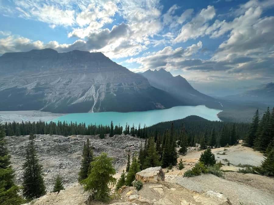 Banff and Jasper National Parks Tour and Glacier Adventure - An In-Depth Look at the Banff and Jasper Tour