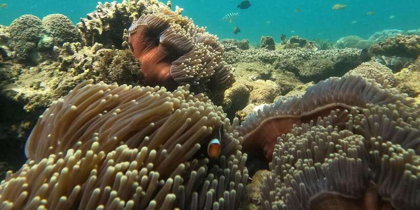 Day Trip 5 Secret Giilis in West South of Lombok - The Overview: Why This Tour Stands Out