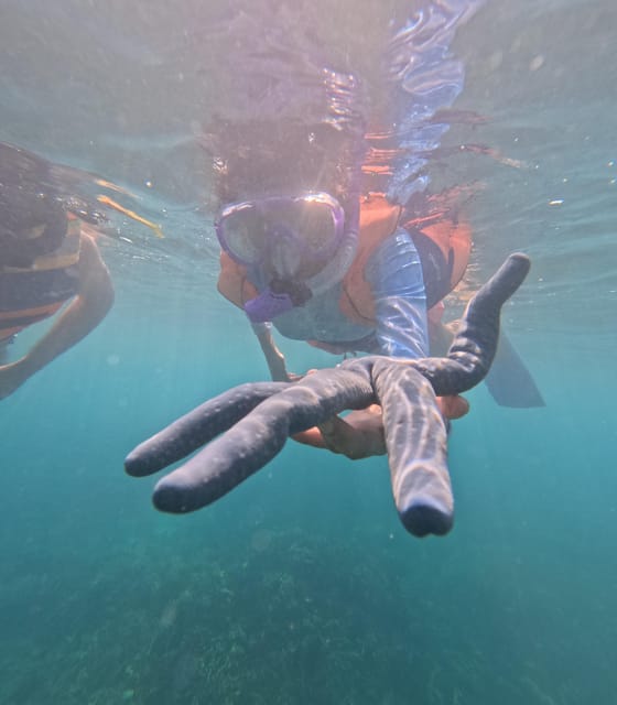 Day Trip 5 Secret Giilis in West South of Lombok - FAQ