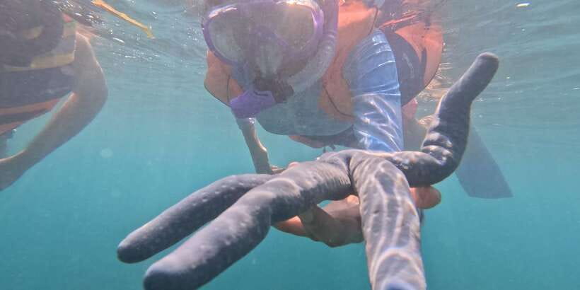 Day Trip 5 Secret Giilis in West South of Lombok - Practical Tips & Considerations