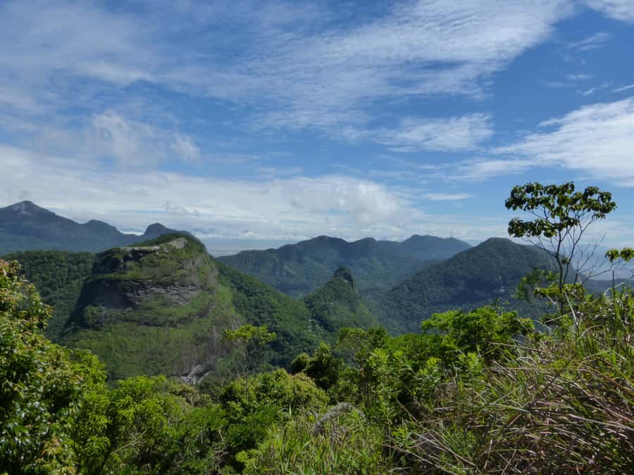 Rio: Pedra da Gávea - The Most Challenge Hike in Rio - Practical Tips
