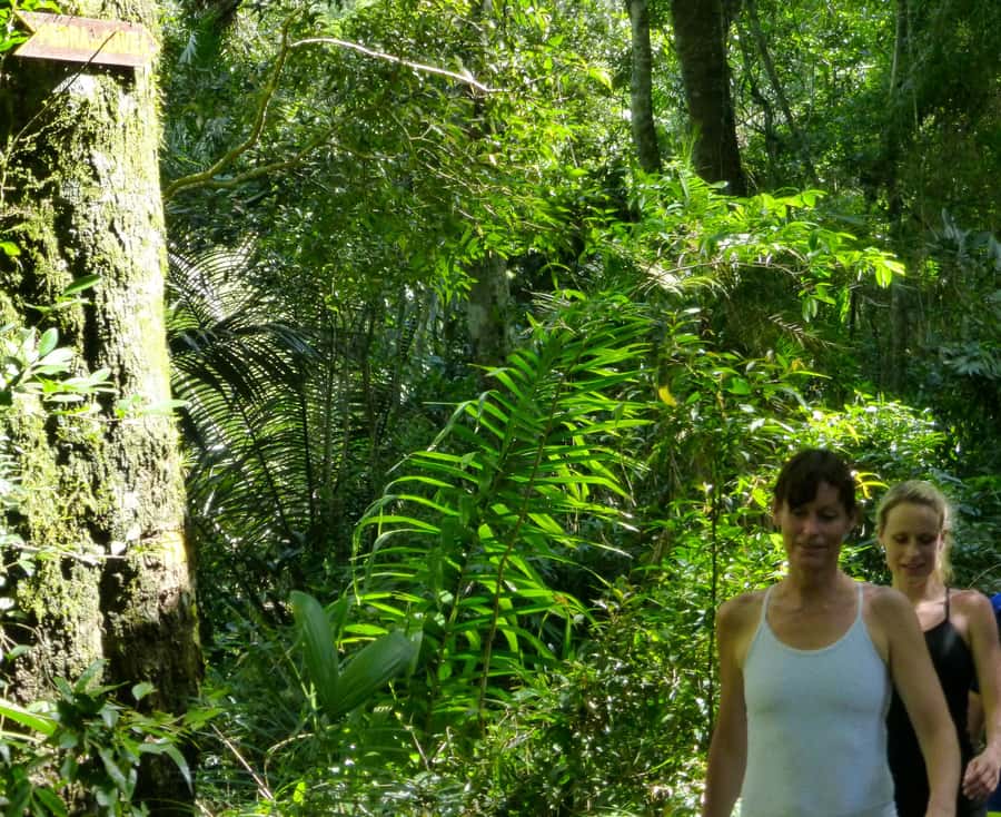 Rio: Pedra da Gávea - The Most Challenge Hike in Rio - FAQ