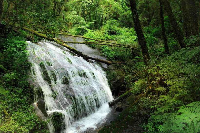 Doi Inthanon National Park & Hiking Kew Mae Pan Nature Trail - Dress Code for Visiting the Chedis